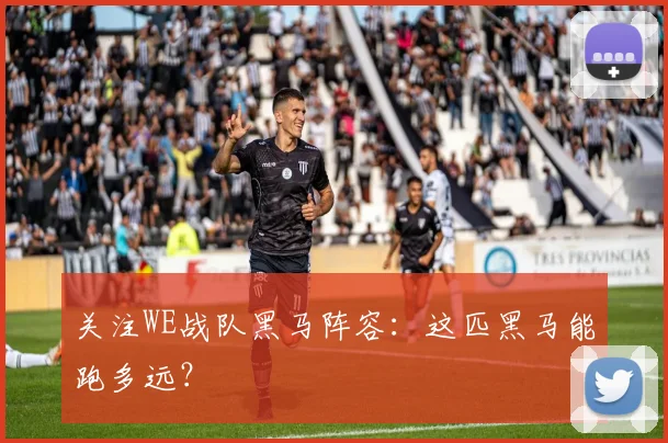关注WE战队黑马阵容：这匹黑马能跑多远？