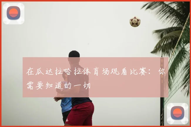 在瓜达拉哈拉体育场观看比赛：你需要知道的一切