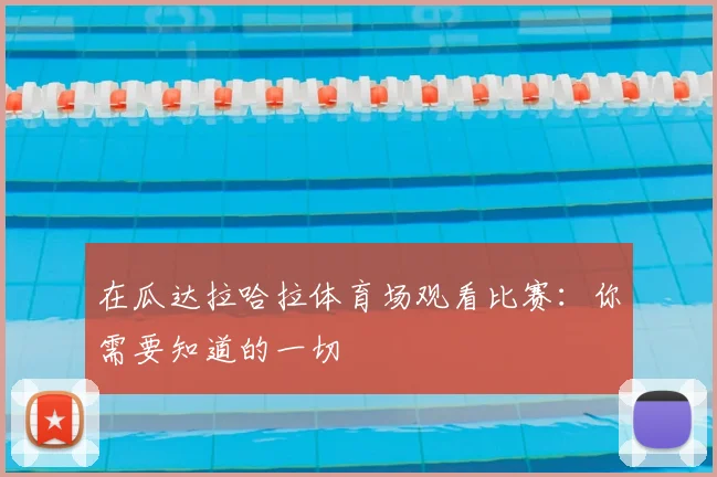 在瓜达拉哈拉体育场观看比赛:你需要知道的一切